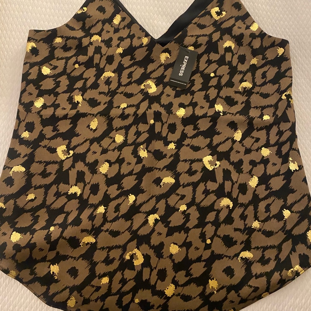 Express woman Dressy shirt